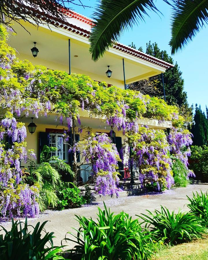 Quinta Do Cabouco Hotell Ribeira Brava Eksteriør bilde