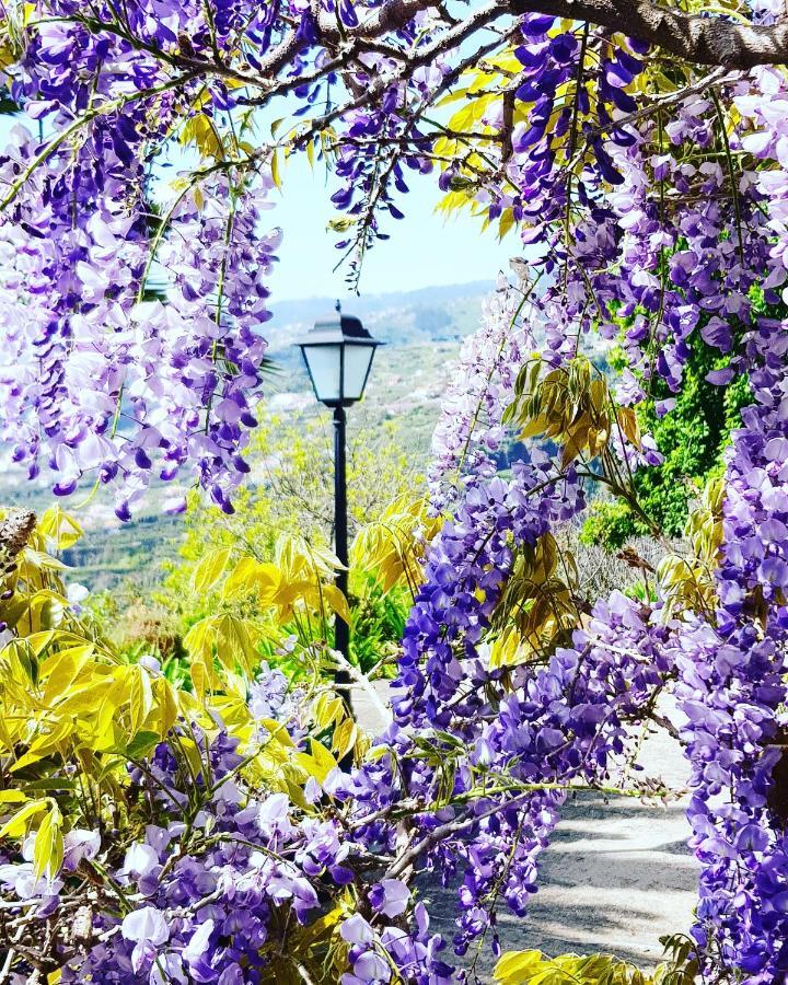 Quinta Do Cabouco Hotell Ribeira Brava Eksteriør bilde