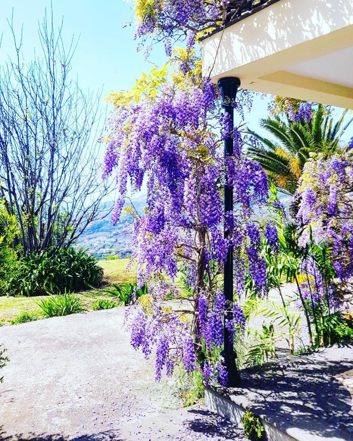 Quinta Do Cabouco Hotell Ribeira Brava Eksteriør bilde