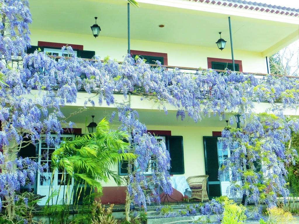 Quinta Do Cabouco Hotell Ribeira Brava Eksteriør bilde